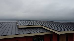 Best Roof Coating and Sealing  in Watauga, TX